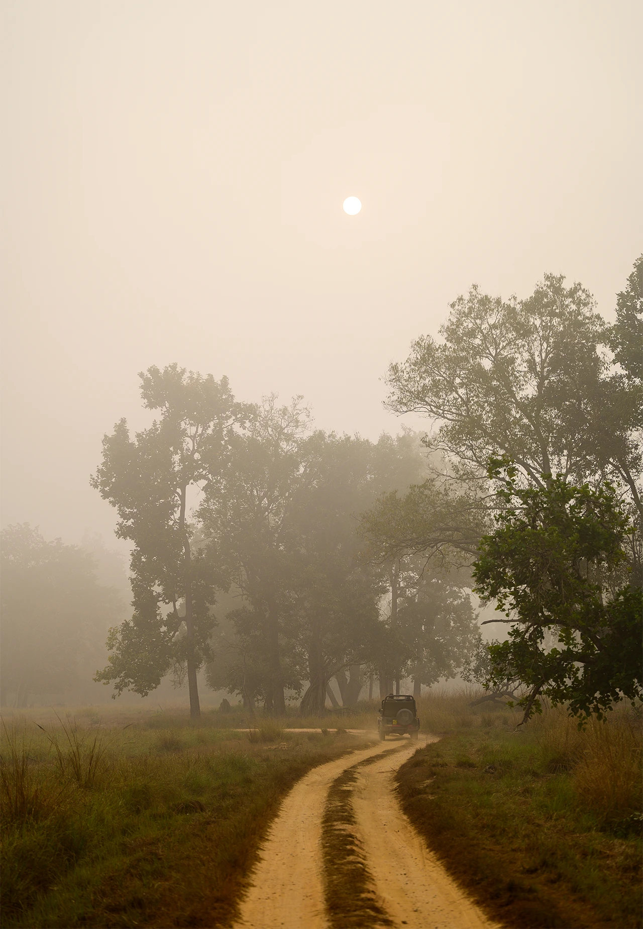 OUTPOST 12, KANHA 